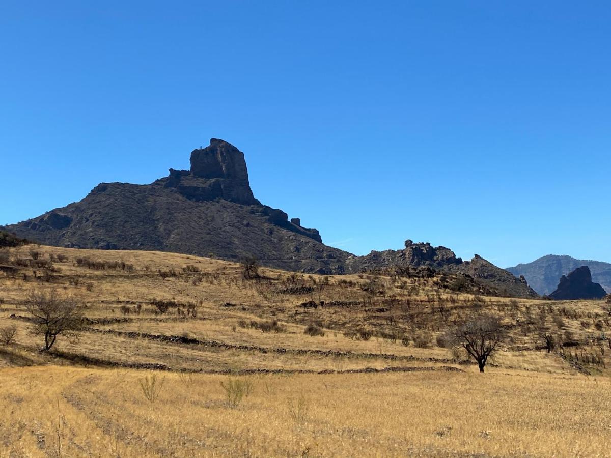 Vacacional La Tea The Location And The Views Apartment Tejeda (Gran Canaria)
